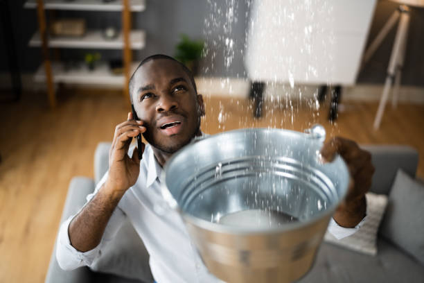 Best Professional water damage repair  in Black Point Green Point, CA