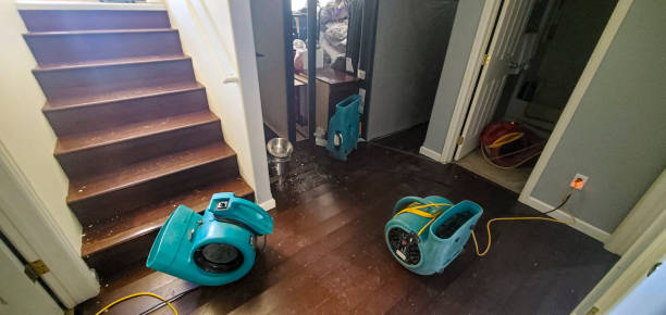 Best Commercial water damage restoration  in Black Point Green Point, CA