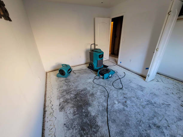 Best Water damage contractors near me  in Black Point Green Point, CA