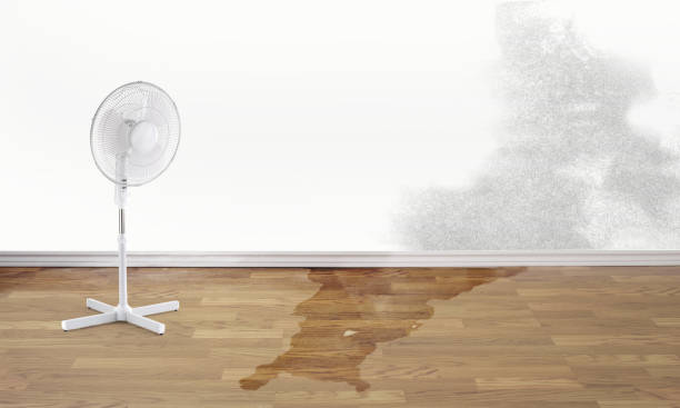 Best Residential water damage restoration  in Black Point Green Point, CA