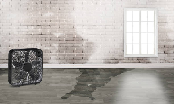 Best Sewage cleanup and water damage restoration  in Black Point Green Point, CA