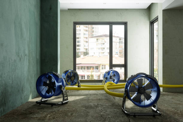 Best Sewage cleanup and water damage restoration  in Black Point Green Point, CA