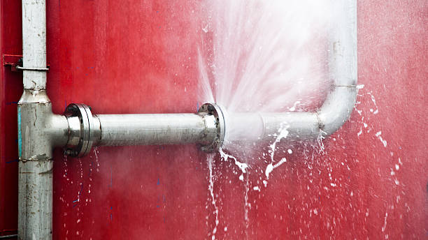 Best Carpet water damage restoration  in Black Point Green Point, CA