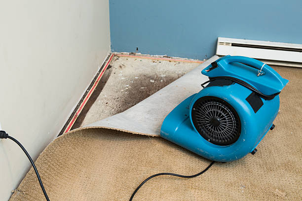 Best Water damage restoration near me  in Black Point Green Point, CA
